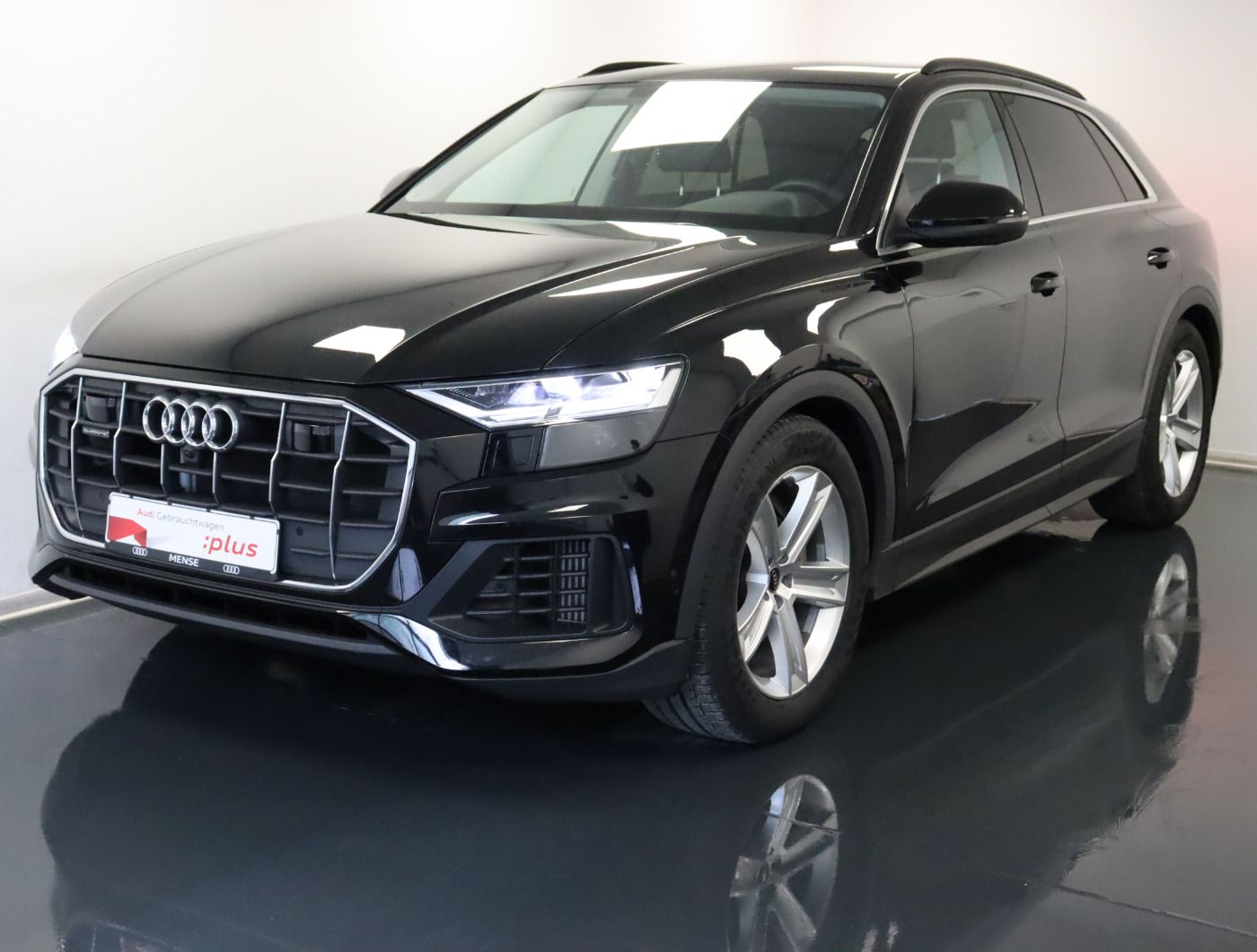 Fahrzeugabbildung Audi Q8 55 TFSI quattro tiptronic Luft 5J.Gar. ACC