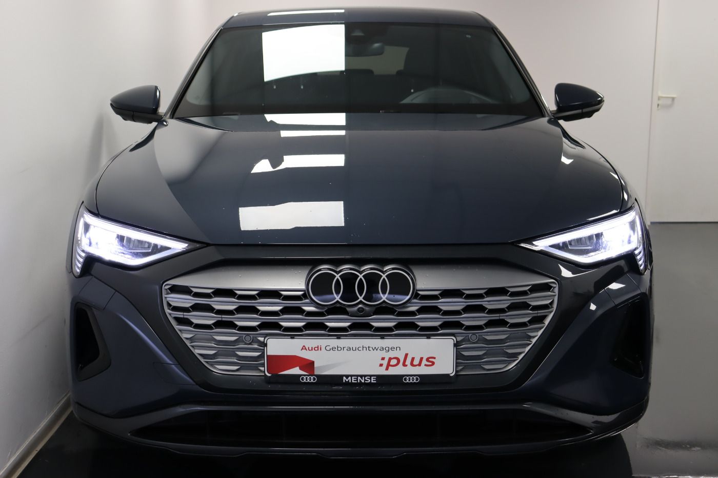 Fahrzeugabbildung Audi Q8 e-tron Sportback 55 quattro advanced Luft