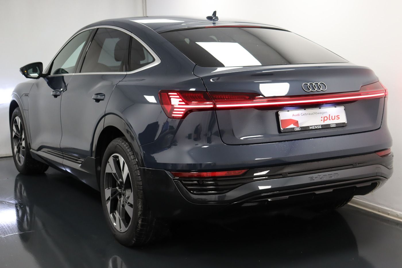 Fahrzeugabbildung Audi Q8 e-tron Sportback 55 quattro advanced Luft