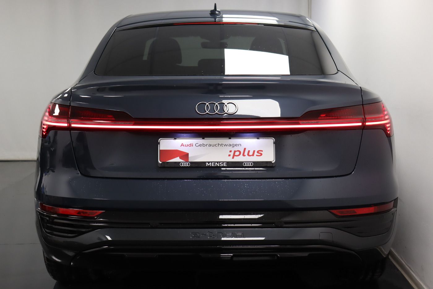 Fahrzeugabbildung Audi Q8 e-tron Sportback 55 quattro advanced Luft