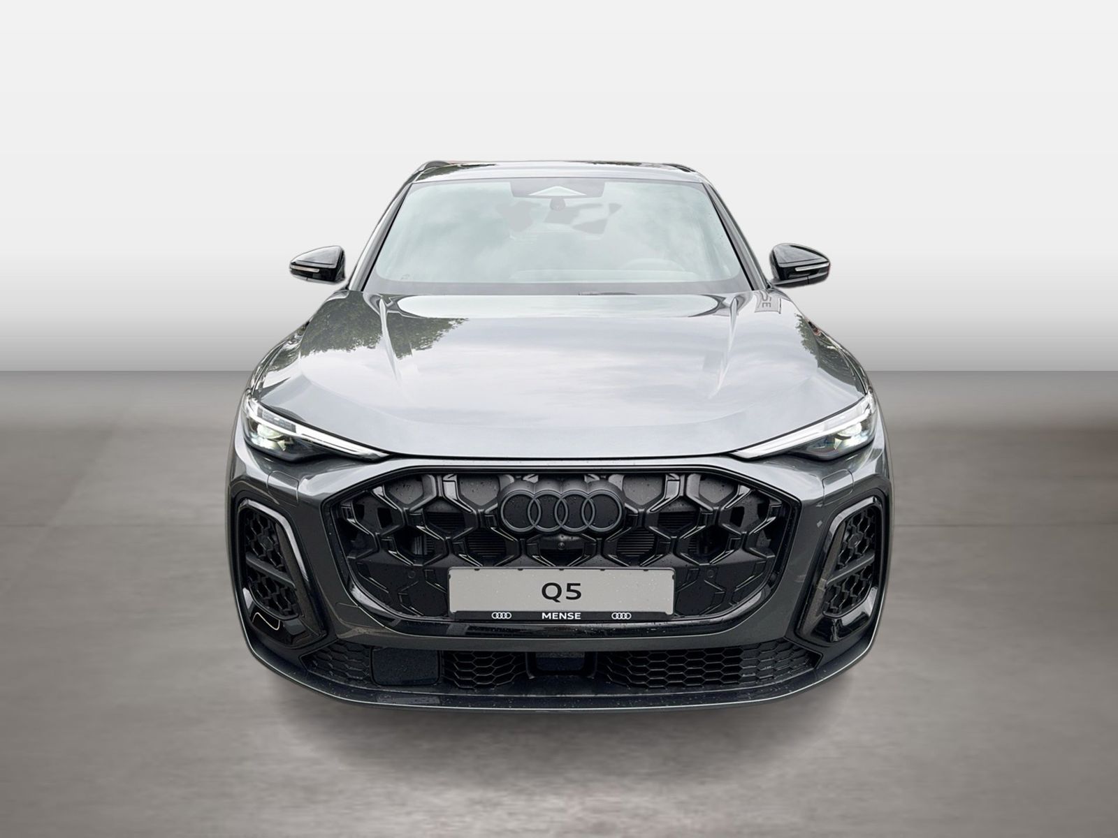 Fahrzeugabbildung Audi Q5 SUV TDI quattro 220 kW S tronic Matrix TechPr - mit KI generiert/bearbeitet
