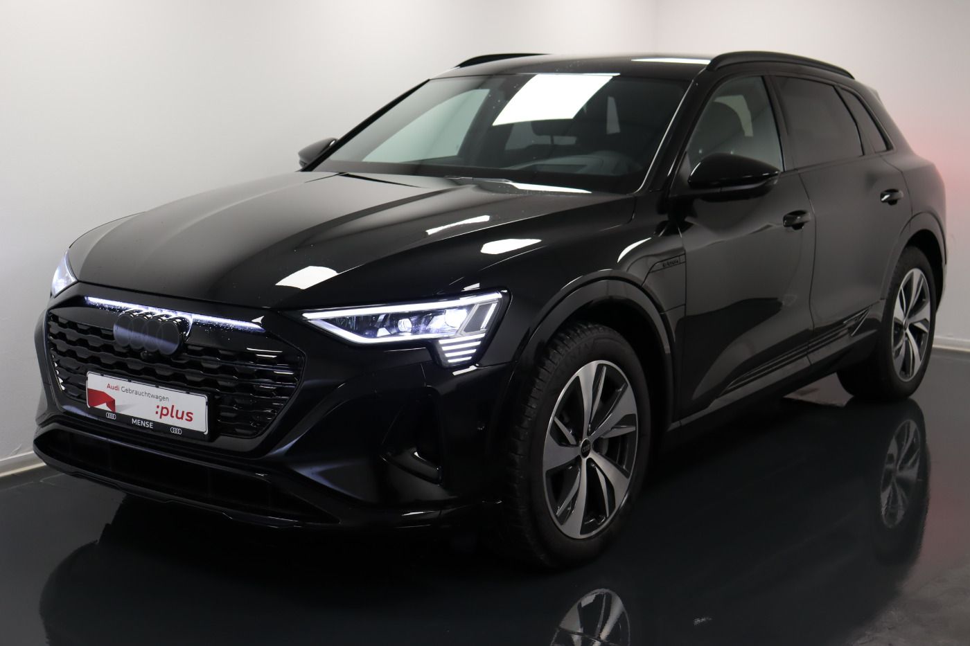 Fahrzeugabbildung Audi Q8 e-tron 55 quattro advanced |Matrix|Luft|ACC