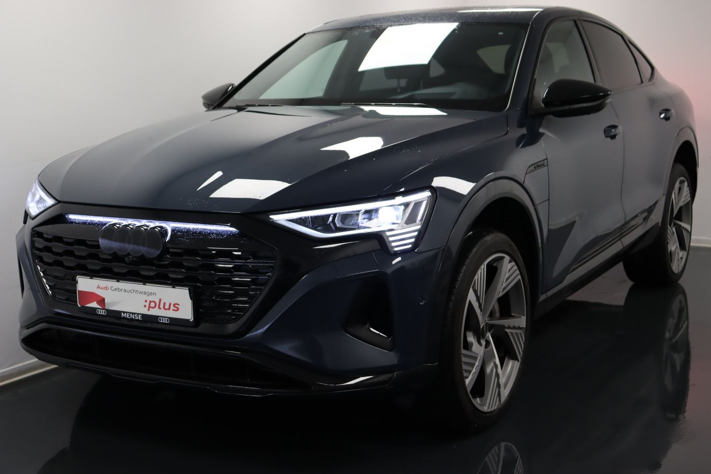 Fahrzeugabbildung Audi Q8 e-tron Sportback 55 quattro advanced |Luft