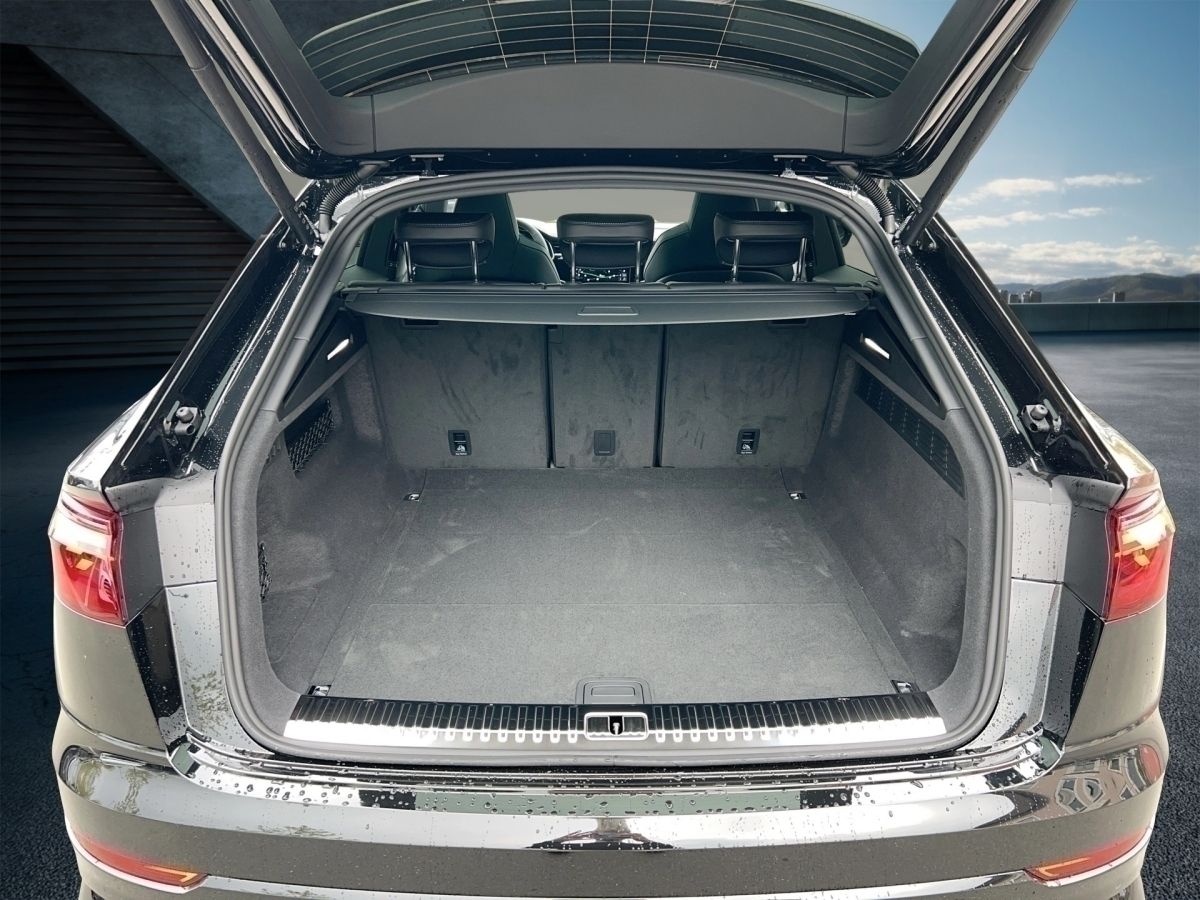Fahrzeugabbildung Audi Q8 SUV 50TDI |Matrix|ACC|FLA|HUD|Pano