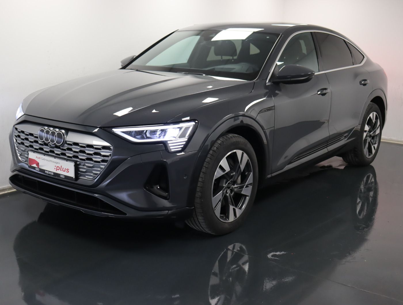 Fahrzeugabbildung Audi Q8 e-tron Sportback 55 quattro advanced |Luft