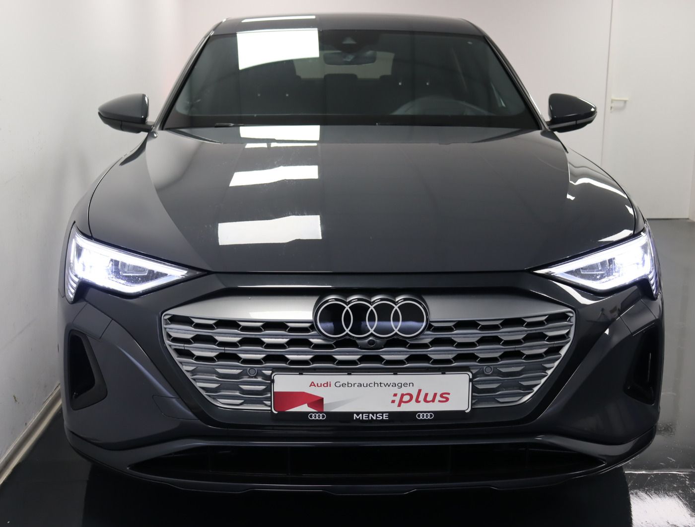 Fahrzeugabbildung Audi Q8 e-tron Sportback 55 quattro advanced |Luft
