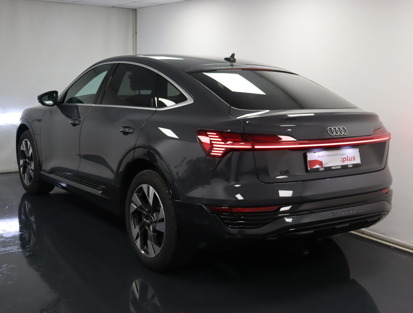 Fahrzeugabbildung Audi Q8 e-tron Sportback 55 quattro advanced |Luft