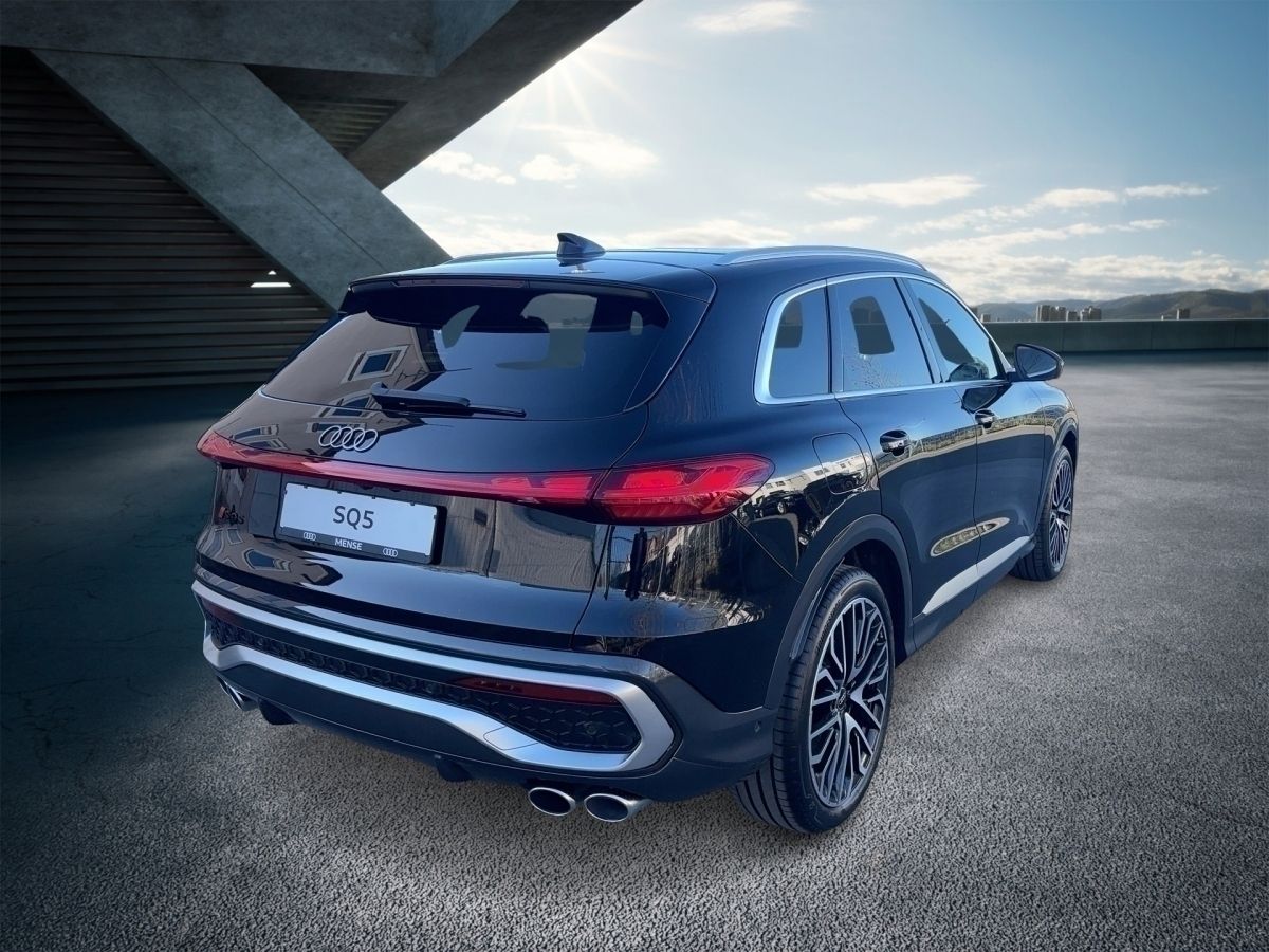 Fahrzeugabbildung Audi SQ5 TFSI |Luft|Pano|Bel.Sitz