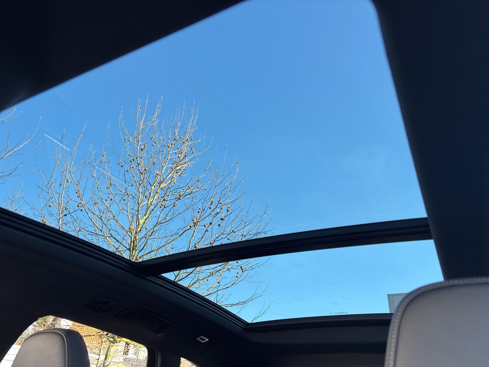 Fahrzeugabbildung Audi SQ5 TFSI |Luft|Pano|Bel.Sitz