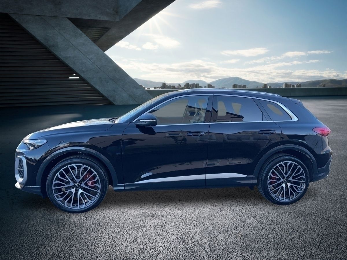 Fahrzeugabbildung Audi SQ5 TFSI |Luft|Pano|Bel.Sitz