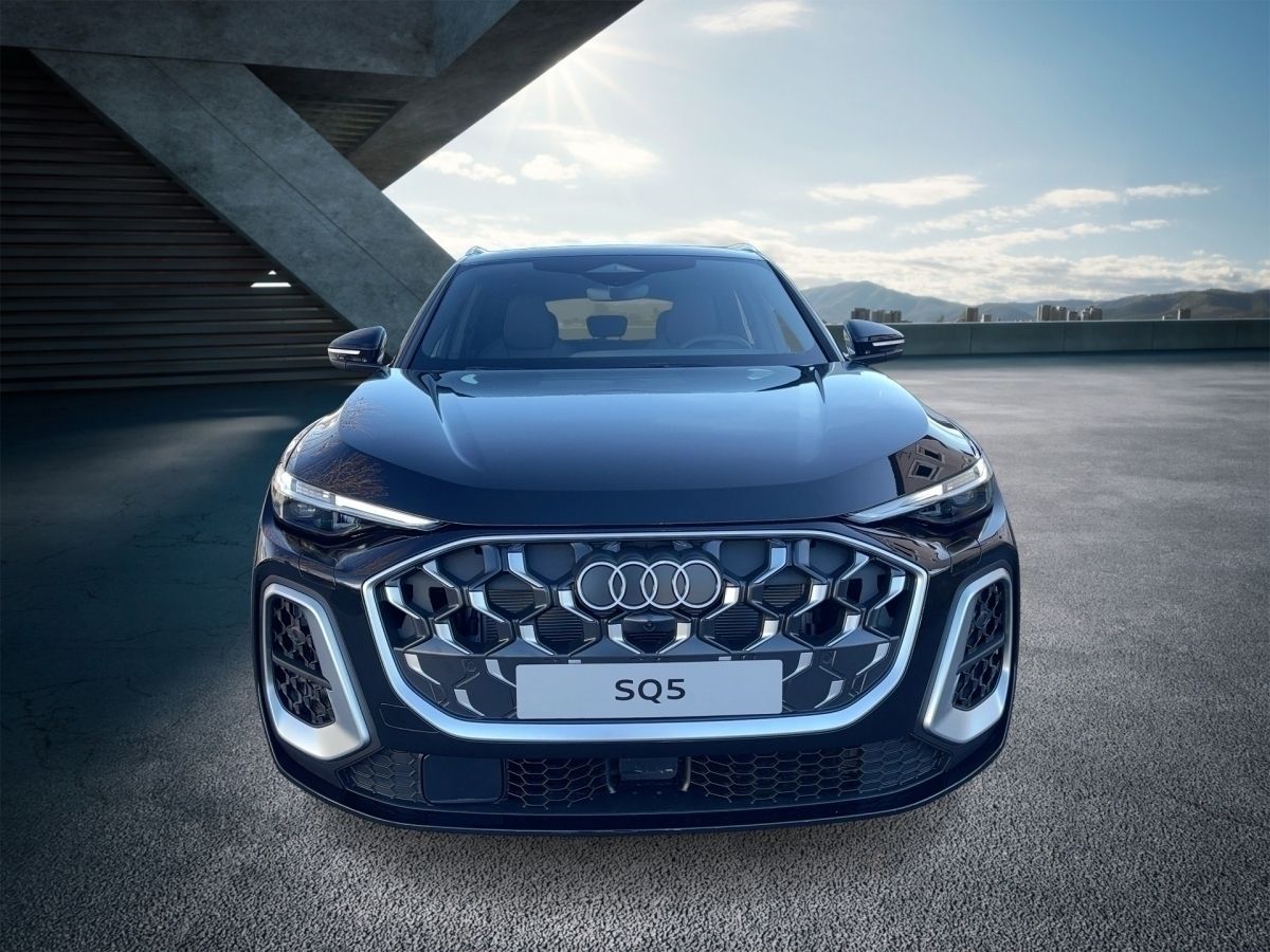 Fahrzeugabbildung Audi SQ5 TFSI |Luft|Pano|Bel.Sitz