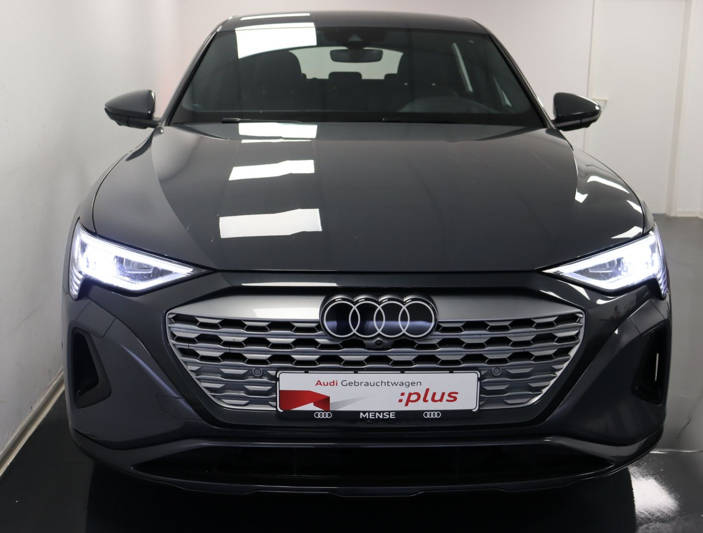 Fahrzeugabbildung Audi Q8 e-tron 55 quattro advanced |Matrix|Luft|LED