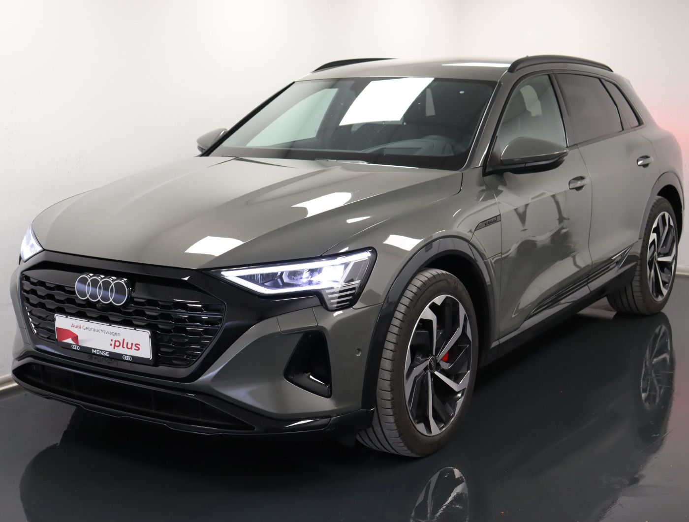 Fahrzeugabbildung Audi Q8 e-tron 55 quattro advanced |Luft|LED|ACC|HUD
