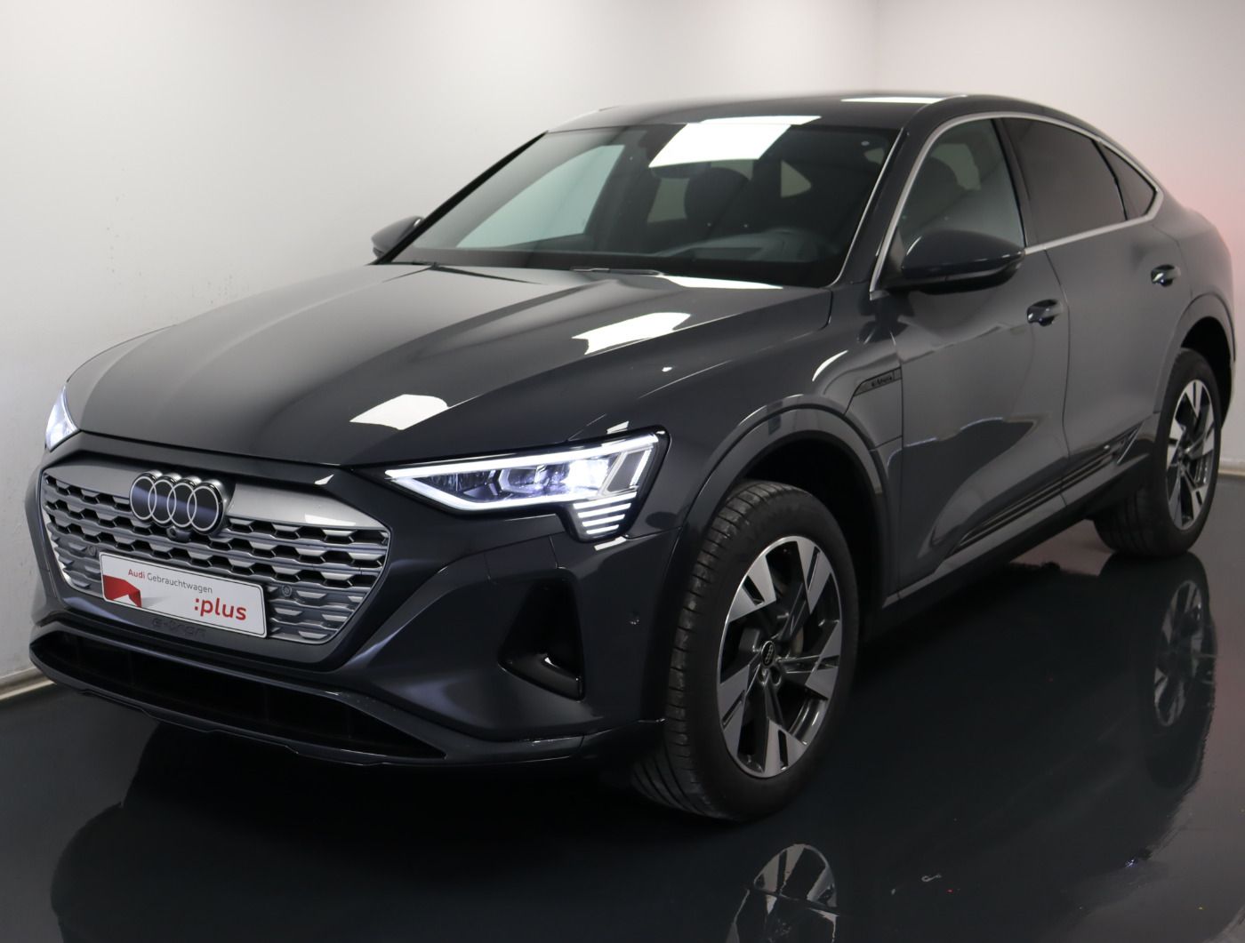 Fahrzeugabbildung Audi Q8 e-tron Sportback 55 quattro advanced |Luft