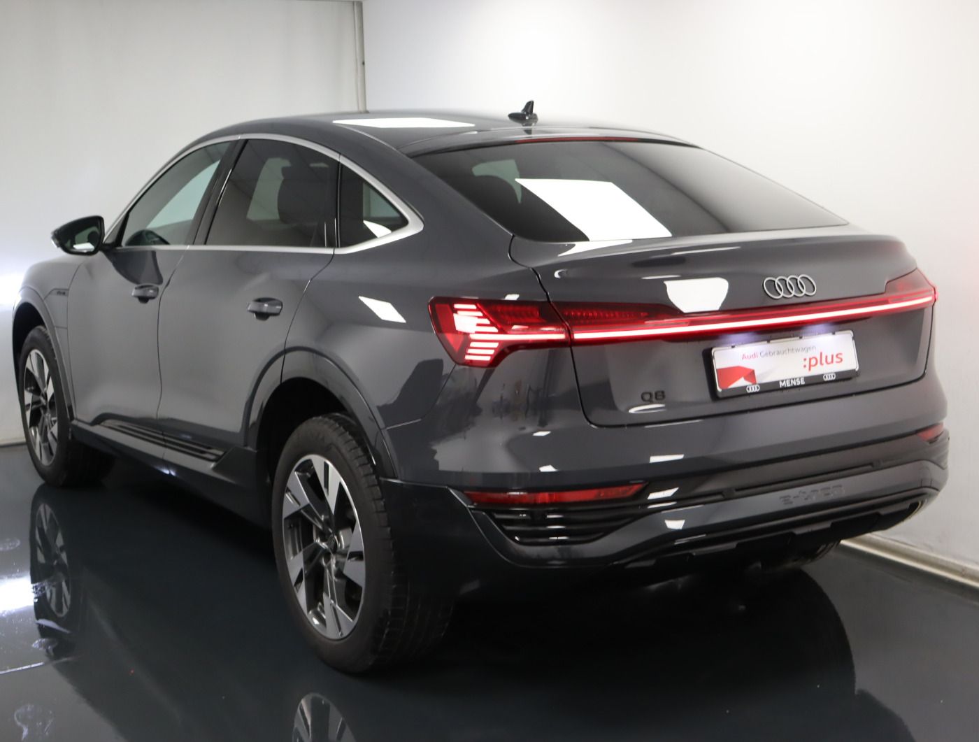 Fahrzeugabbildung Audi Q8 e-tron Sportback 55 quattro advanced |Luft