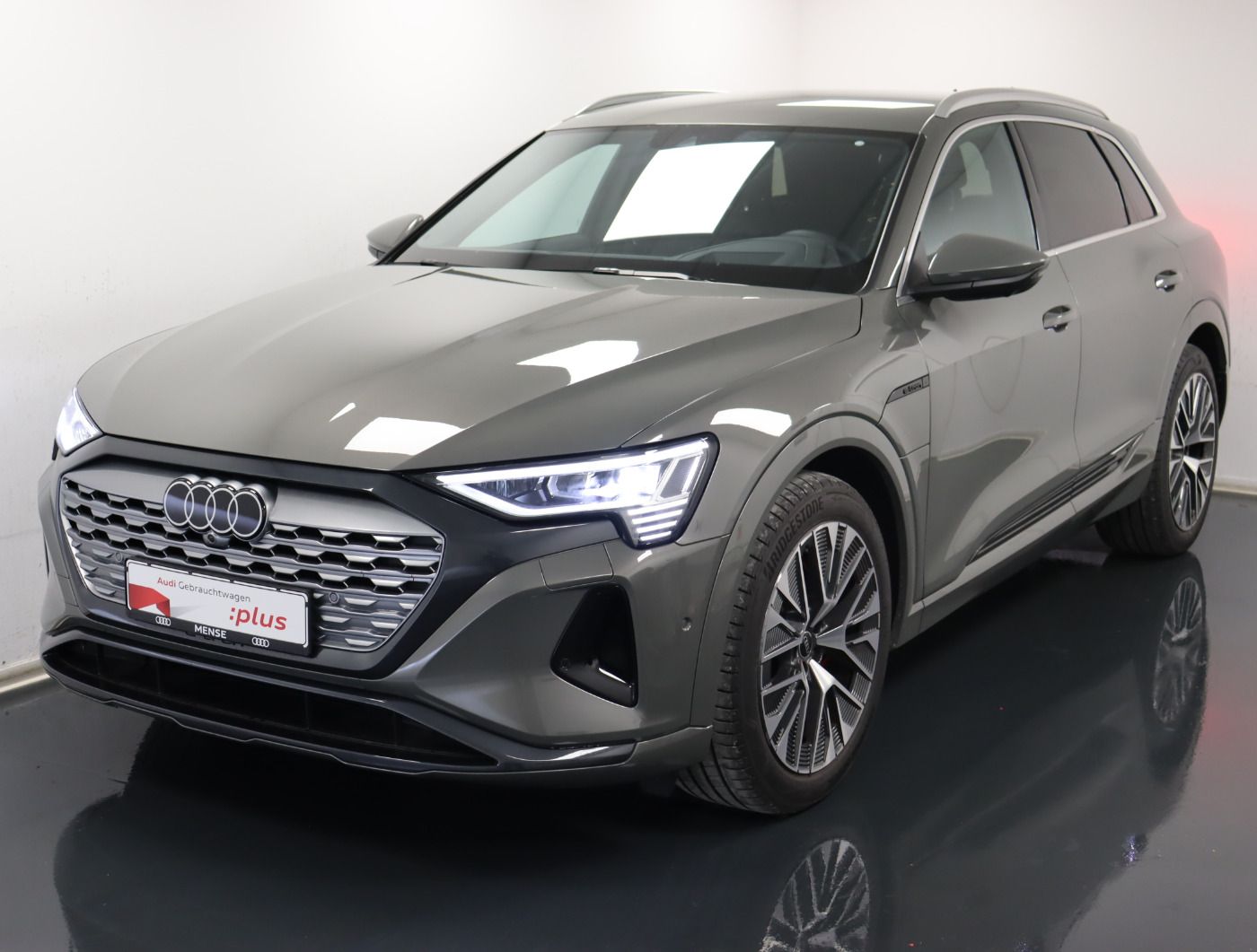 Fahrzeugabbildung Audi Q8 e-tron 55 quattro advanced |Matrix|Luft|LED