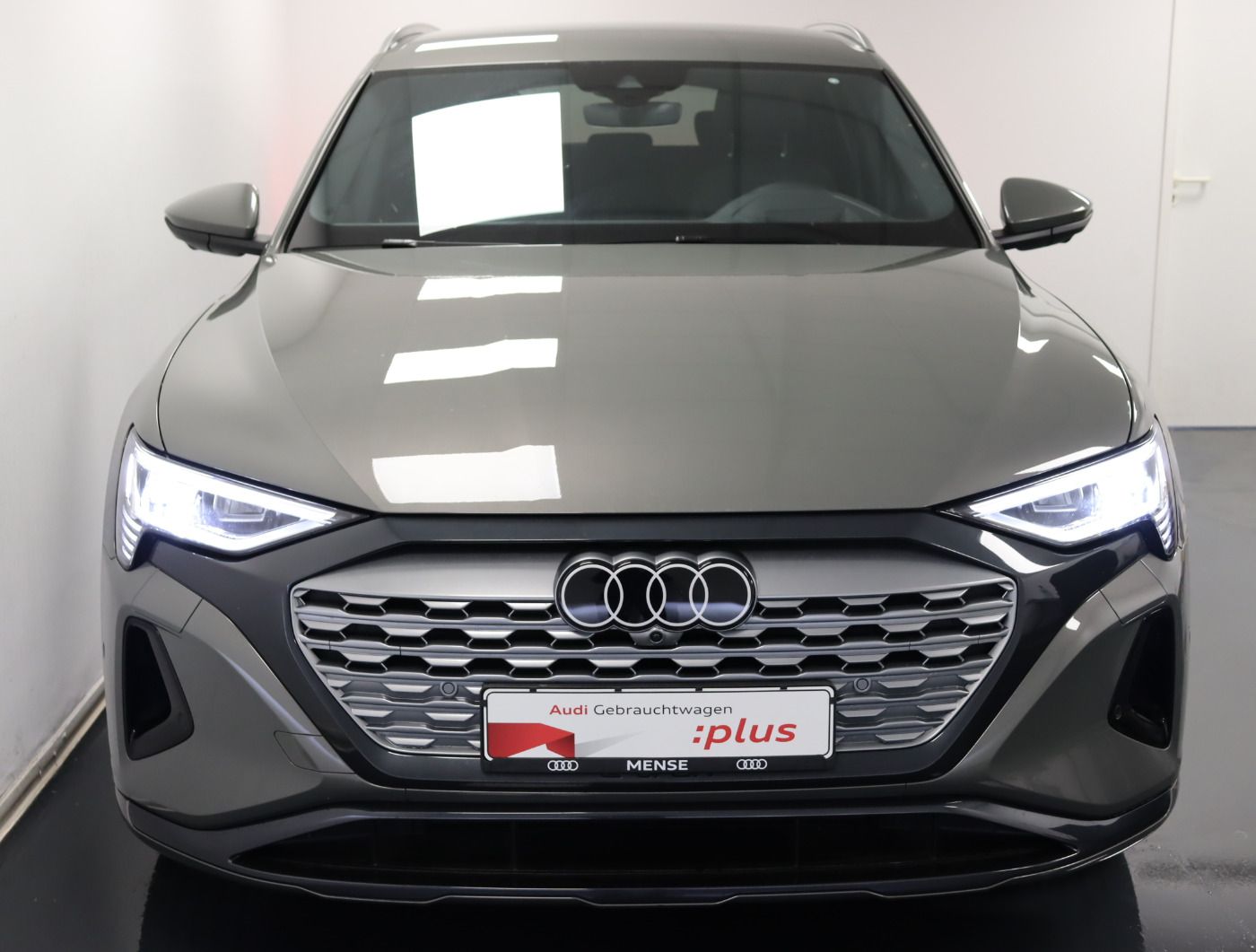 Fahrzeugabbildung Audi Q8 e-tron 55 quattro advanced |Matrix|Luft|LED