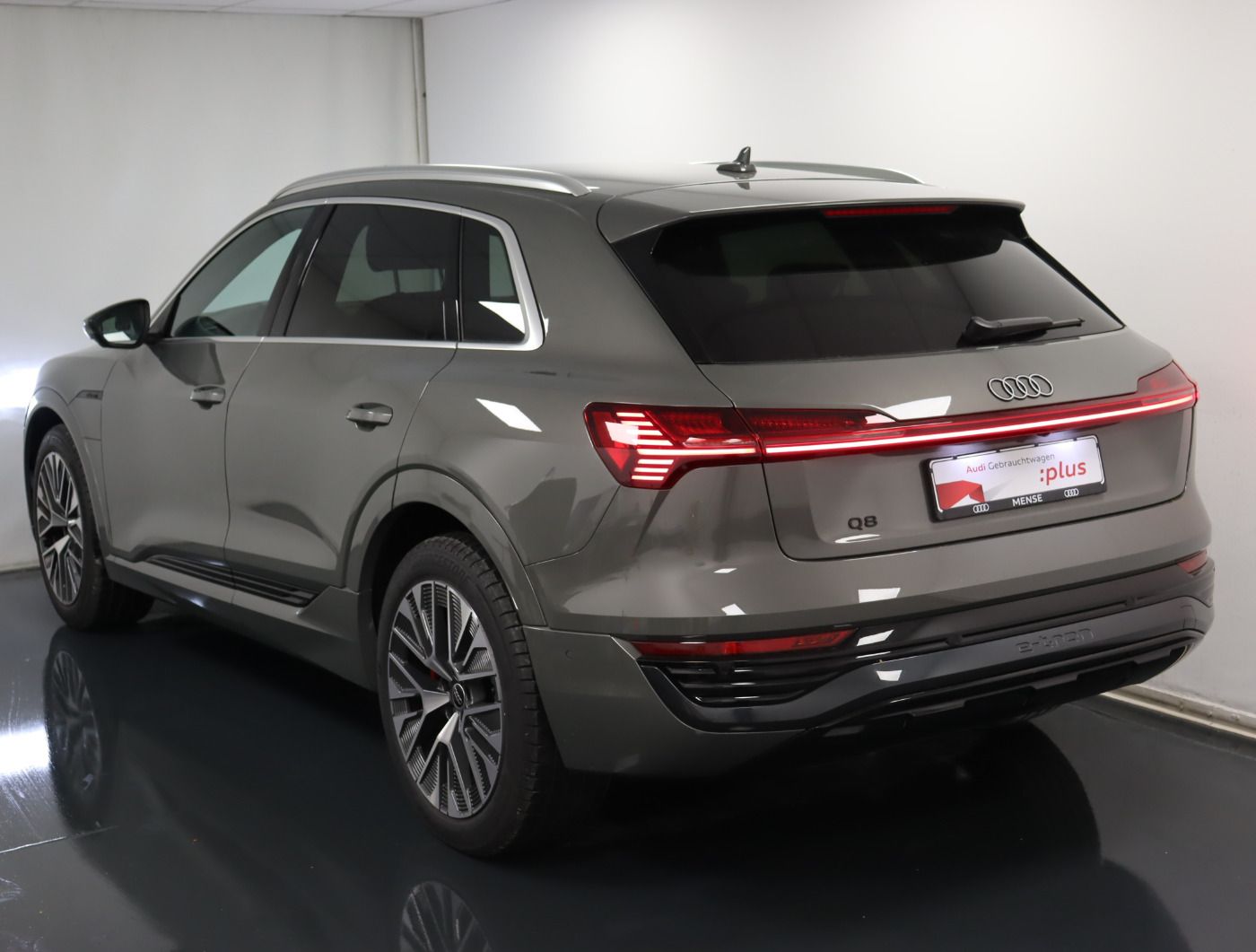 Fahrzeugabbildung Audi Q8 e-tron 55 quattro advanced |Matrix|Luft|LED