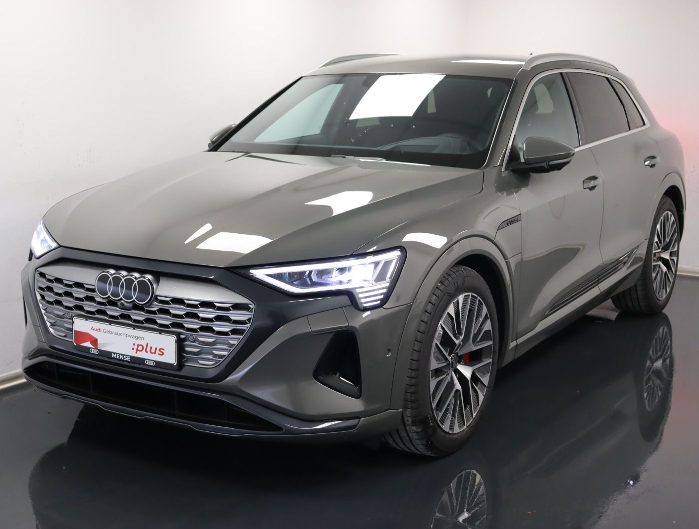 Fahrzeugabbildung Audi Q8 e-tron 55 quattro advanced |Matrix|Luft|LED