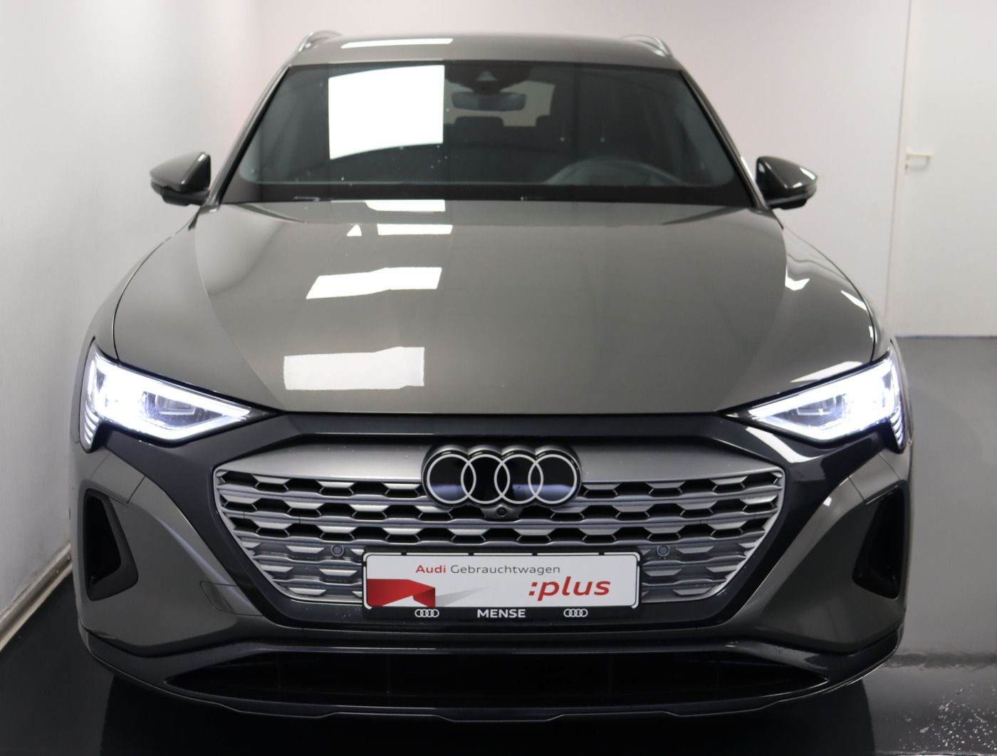 Fahrzeugabbildung Audi Q8 e-tron 55 quattro advanced |Matrix|Luft|LED