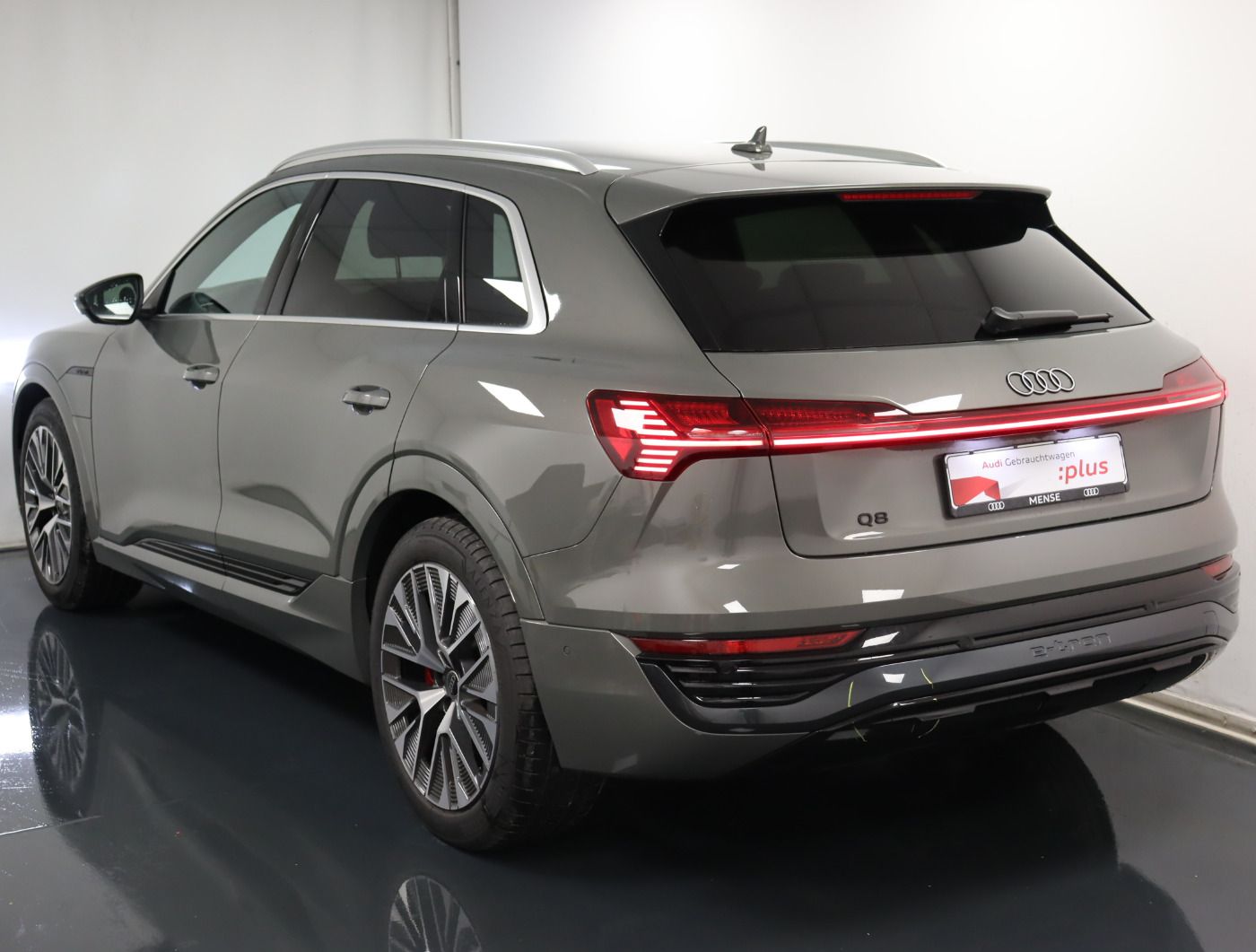 Fahrzeugabbildung Audi Q8 e-tron 55 quattro advanced |Matrix|Luft|LED