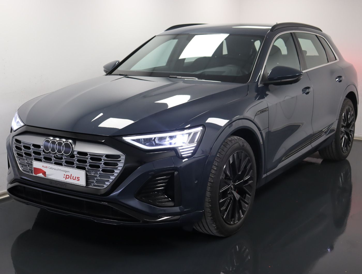 Fahrzeugabbildung Audi Q8 e-tron 55 quattro S line |Matrix|Luft|LED