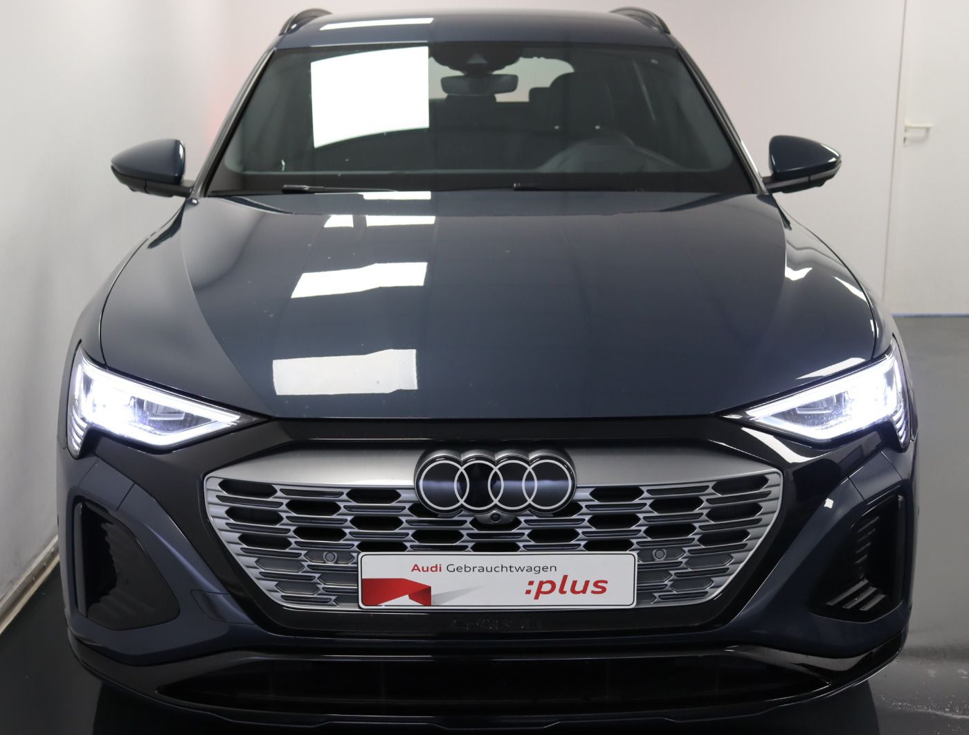 Fahrzeugabbildung Audi Q8 e-tron 55 quattro S line |Matrix|Luft|LED