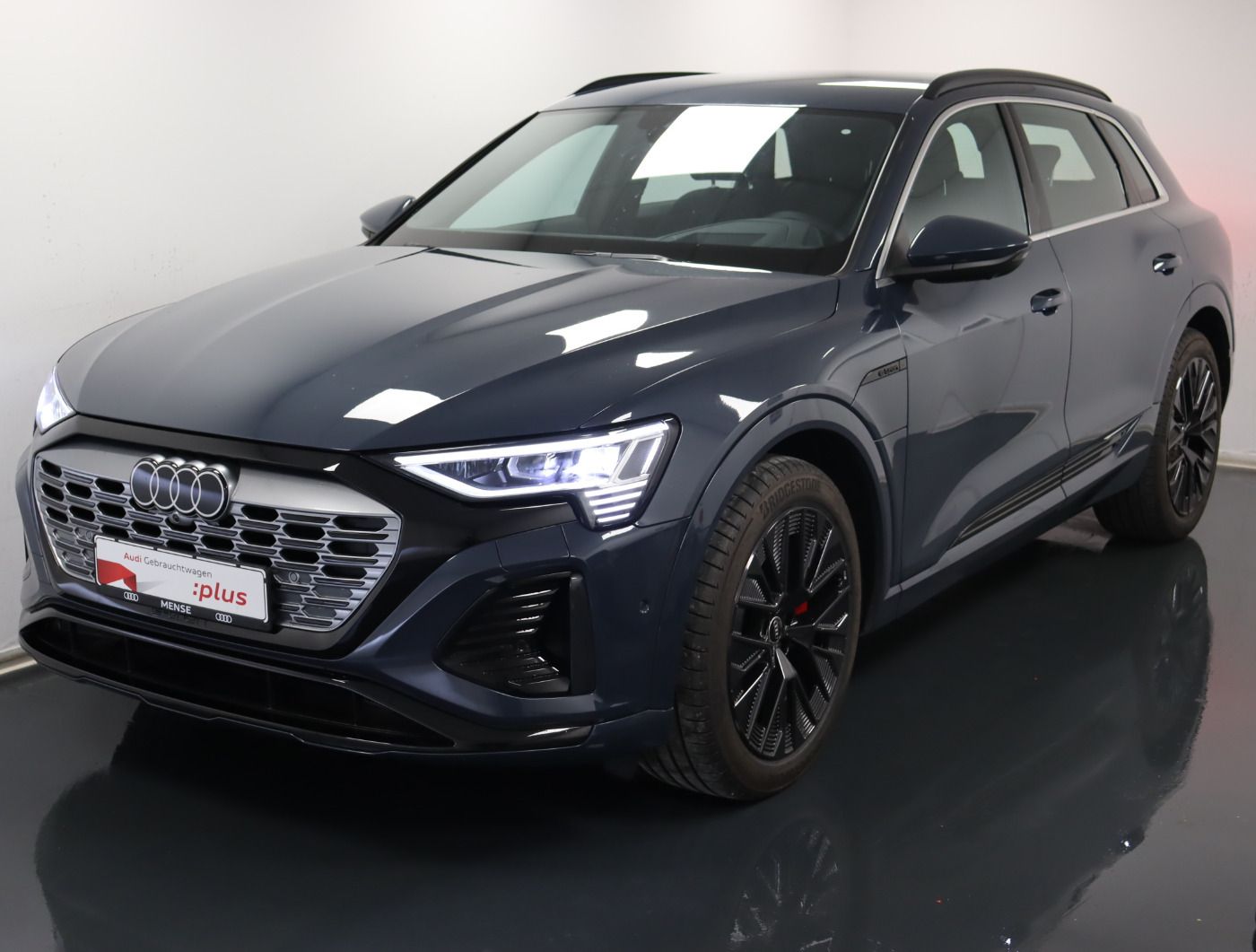 Fahrzeugabbildung Audi Q8 e-tron 55 quattro S line |Matrix|Luft|LED