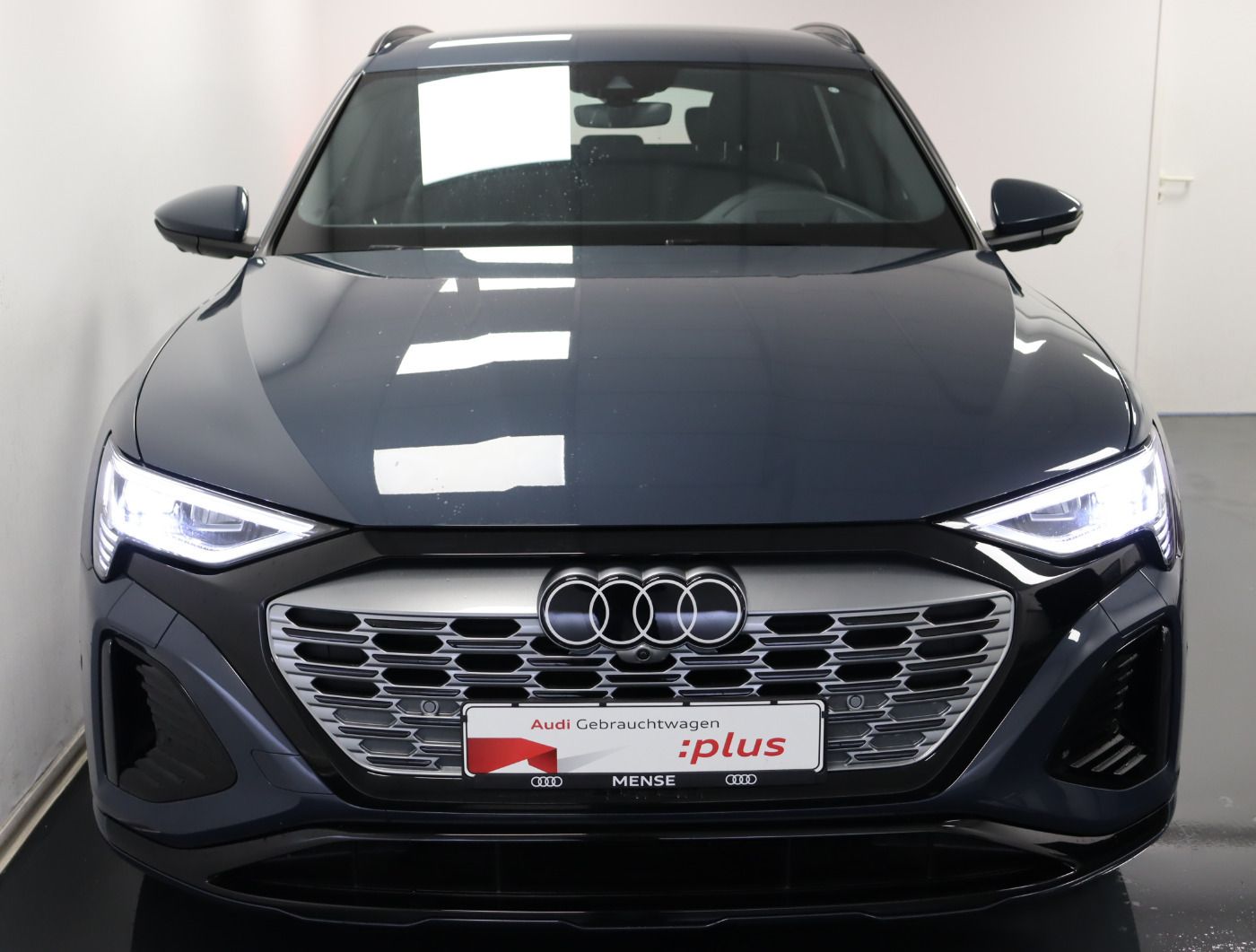 Fahrzeugabbildung Audi Q8 e-tron 55 quattro S line |Matrix|Luft|LED