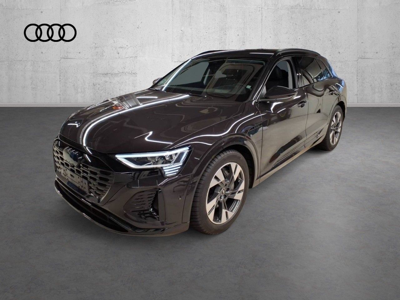 Fahrzeugabbildung Audi Q8 e-tron 55 quattro S line |Matrix|Luft|LED