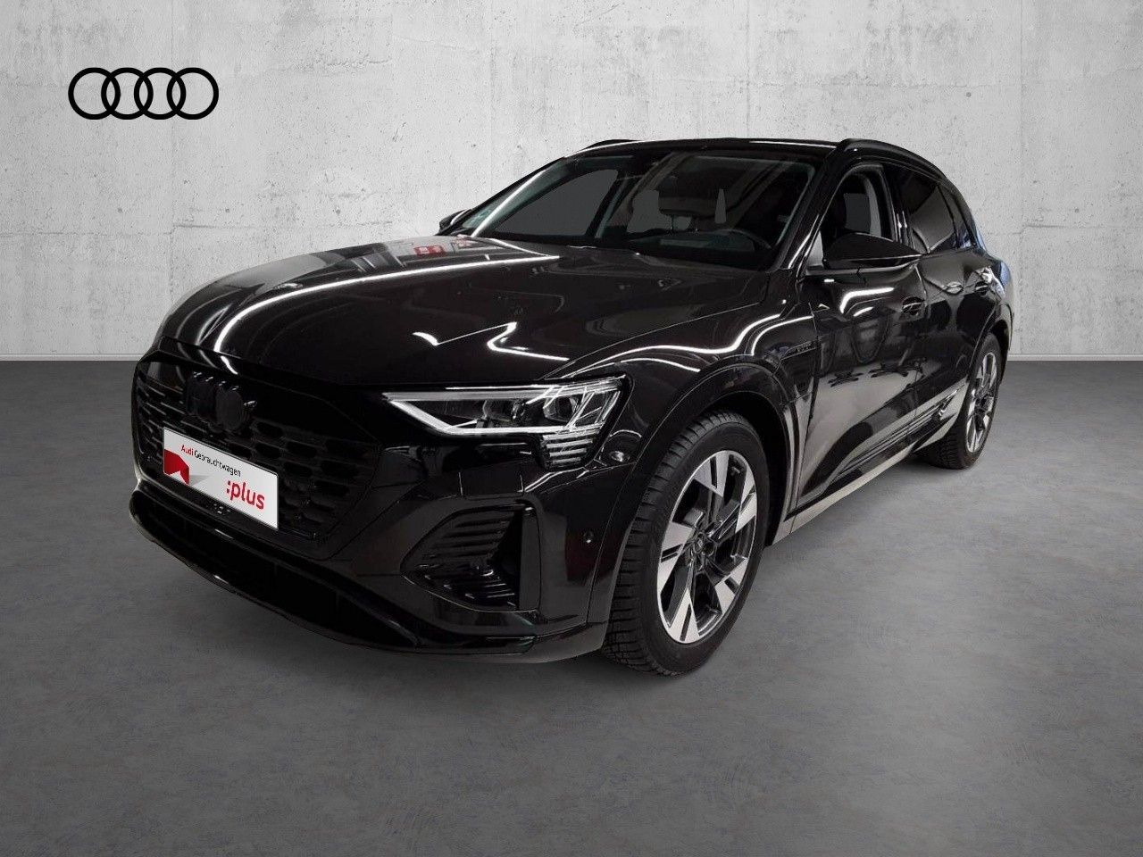 Fahrzeugabbildung Audi Q8 e-tron 55 quattro S line |Matrix|Luft|LED