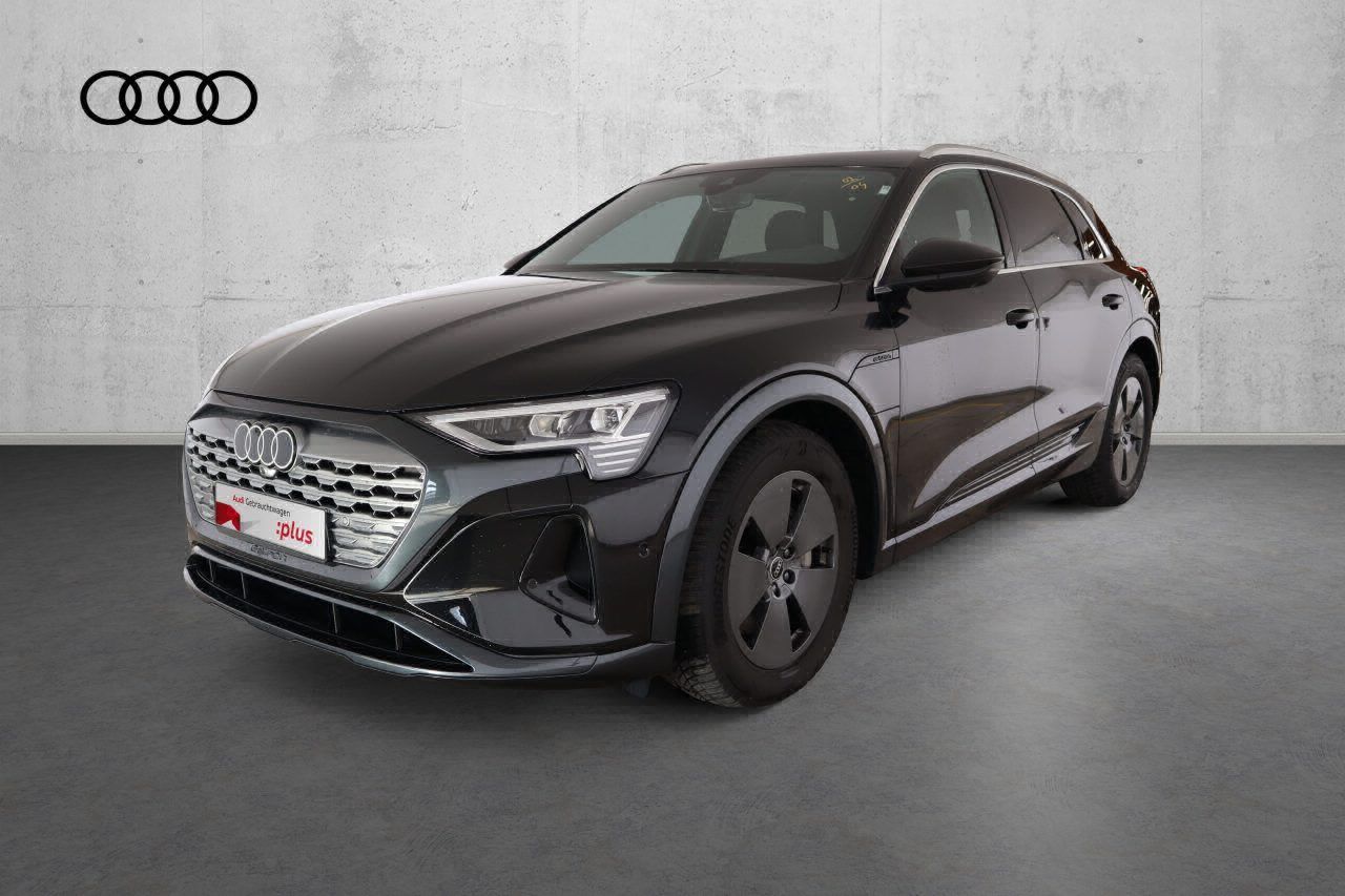 Fahrzeugabbildung Audi Q8 e-tron 55 quattro advanced |Matrix|Luft|LED