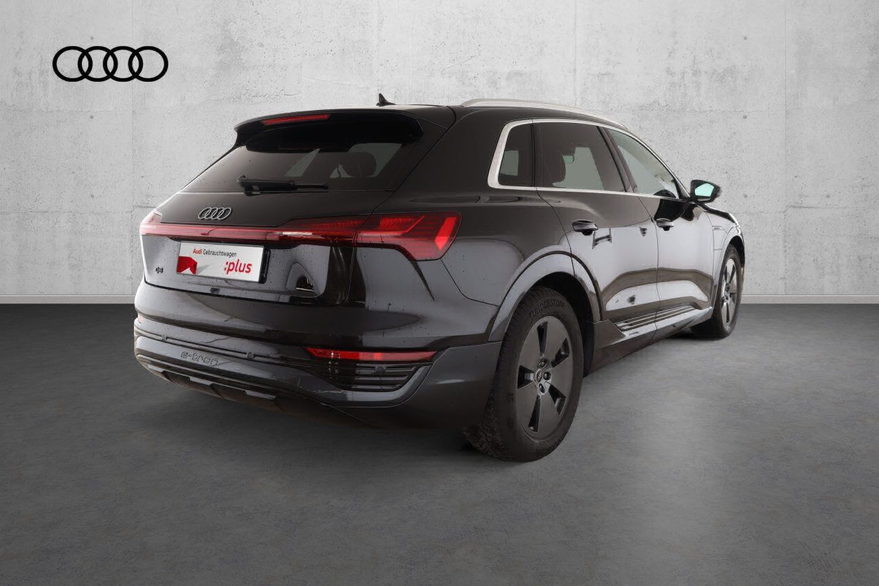 Fahrzeugabbildung Audi Q8 e-tron 55 quattro advanced |Matrix|Luft|LED