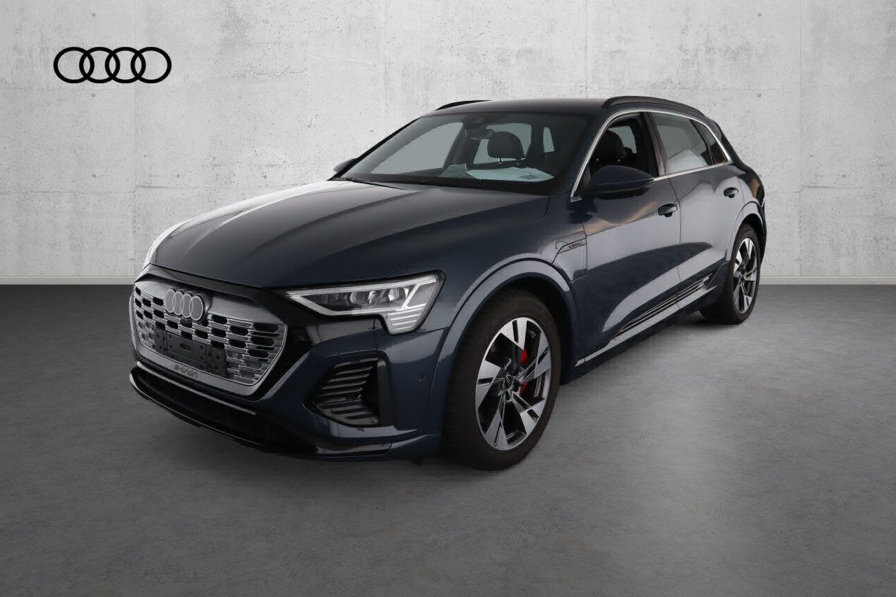 Fahrzeugabbildung Audi Q8 e-tron 55 quattro S line |Matrix|Luft|LED