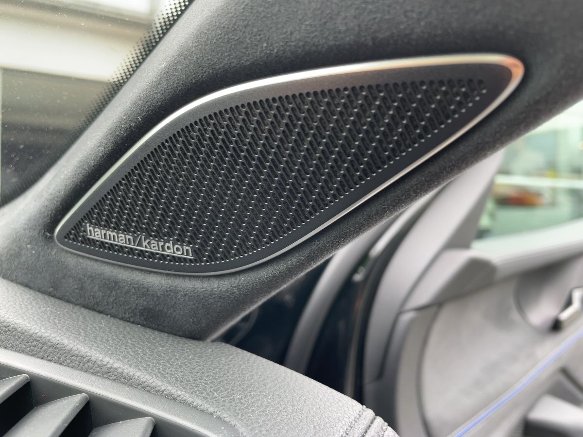 Fahrzeugabbildung Volkswagen Passat TDI 4M DSG R-Line Signature AHK Standhzg