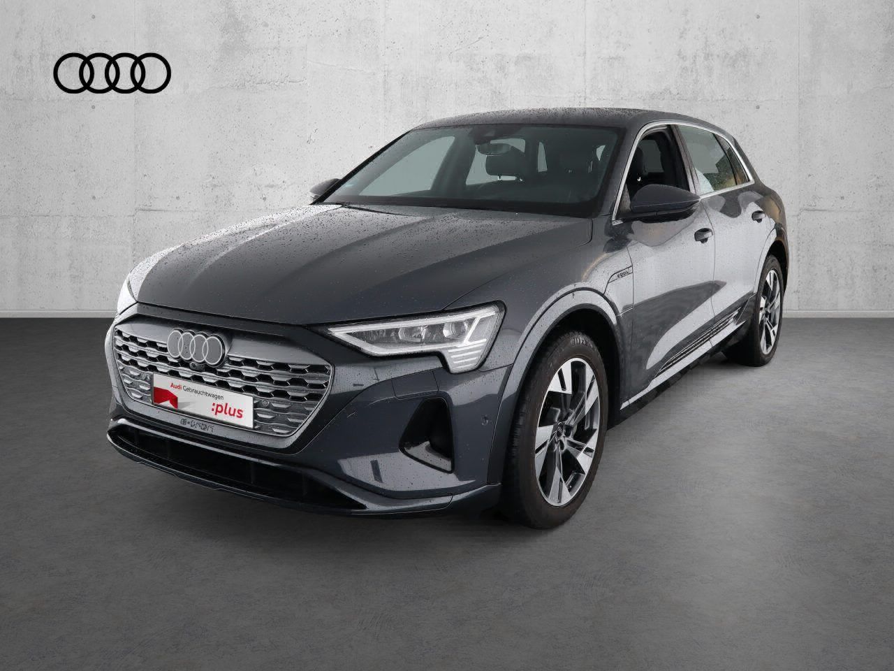 Fahrzeugabbildung Audi Q8 e-tron 55 quattro advanced |Matrix|Luft|LED