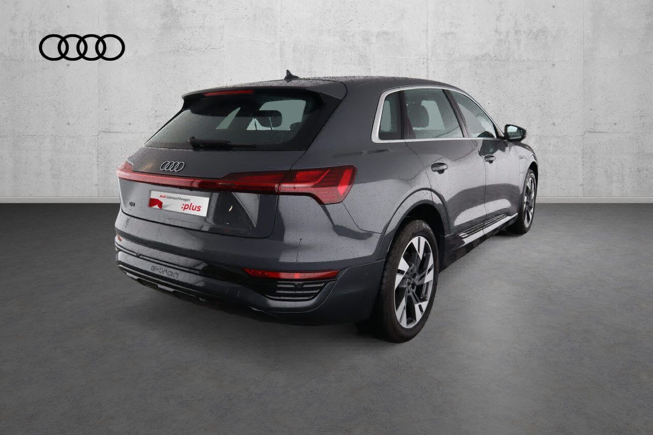 Fahrzeugabbildung Audi Q8 e-tron 55 quattro advanced |Matrix|Luft|LED