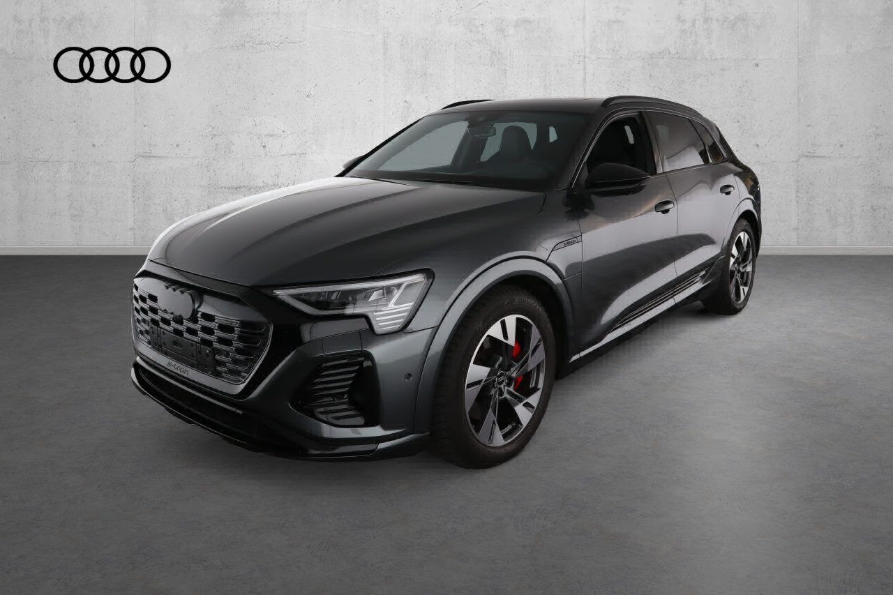 Fahrzeugabbildung Audi Q8 e-tron 55 quattro S line |Matrix|Luft|Pano