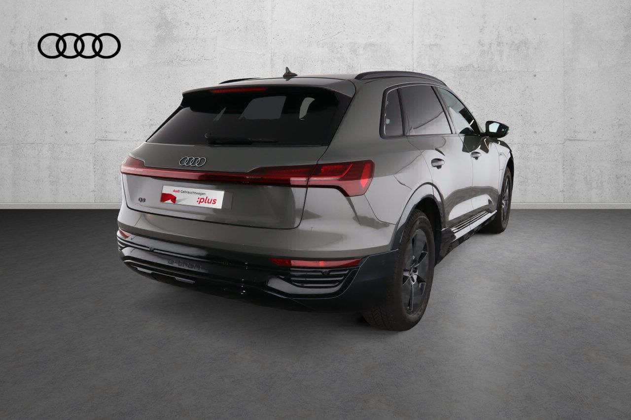Fahrzeugabbildung Audi Q8 e-tron 55 quattro S line |Luft|LED|ACC|HUD