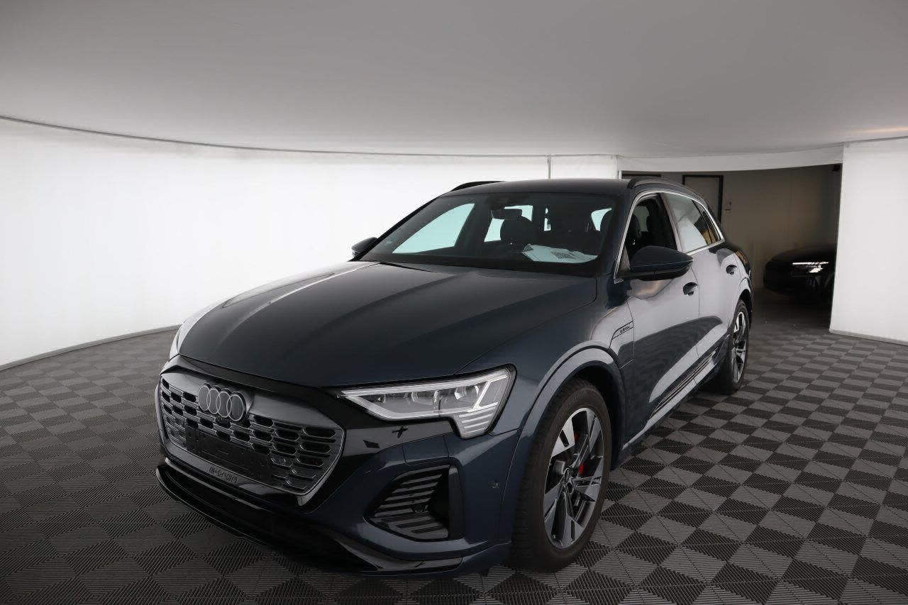 Fahrzeugabbildung Audi Q8 e-tron 55 quattro S line |Matrix|Luft|LED|LM