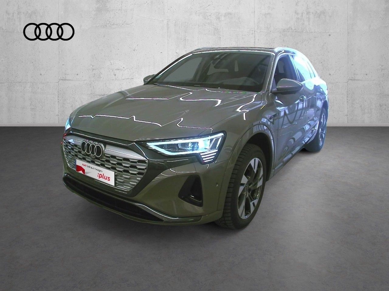 Fahrzeugabbildung Audi Q8 e-tron 55 quattro advanced |Matrix|Luft|LED