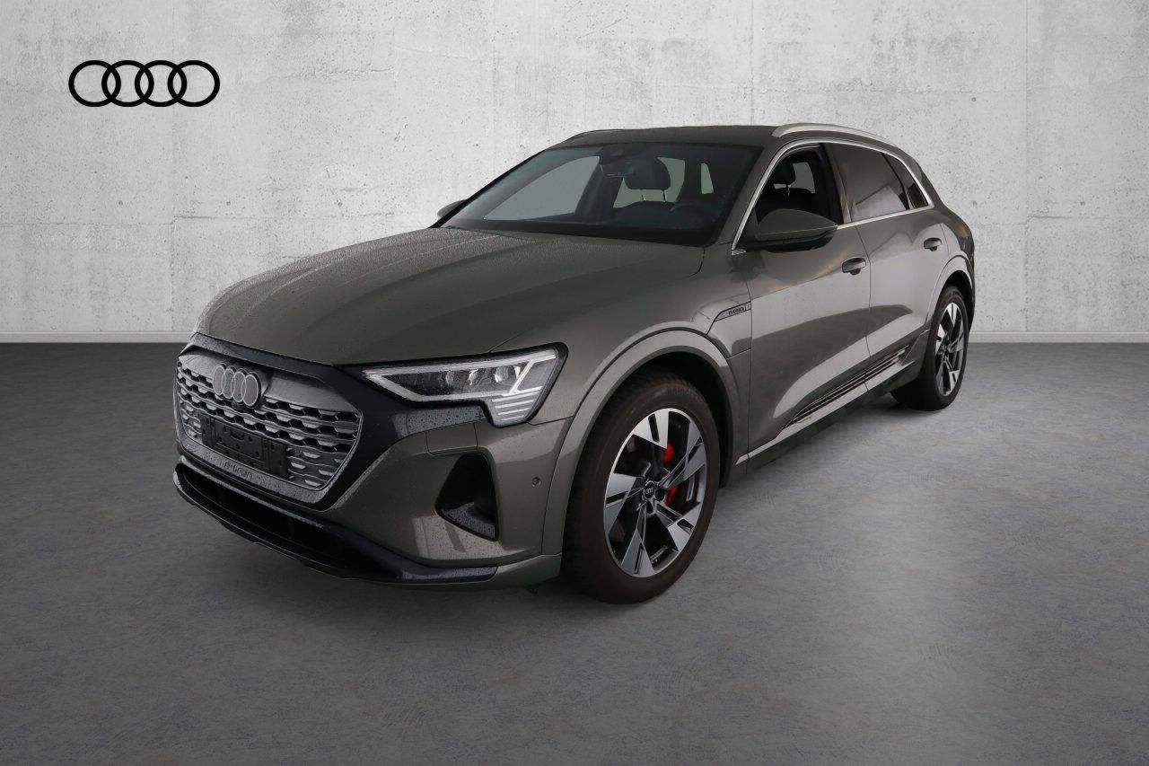 Fahrzeugabbildung Audi Q8 e-tron 55 quattro advanced |Matrix|Luft|LED