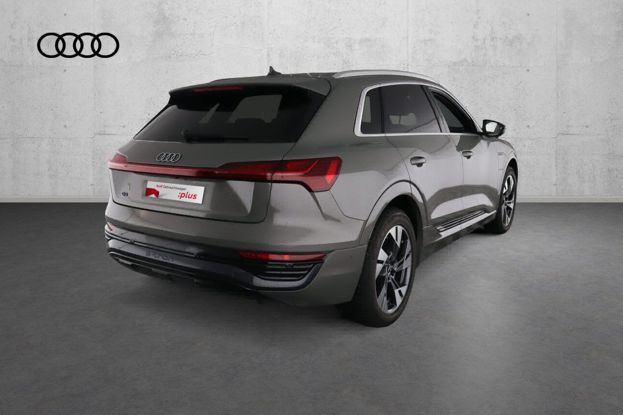Fahrzeugabbildung Audi Q8 e-tron 55 quattro advanced |Matrix|Luft|LED