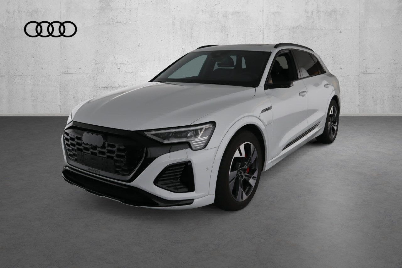 Fahrzeugabbildung Audi Q8 e-tron 55 quattro S-Line |Matrix|Luft|Pano