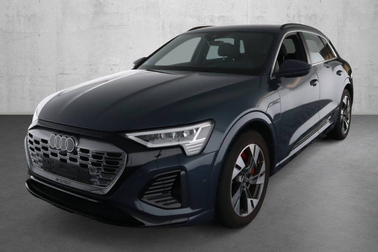 Fahrzeugabbildung Audi Q8 e-tron 55 quattro S-Line |Matrix|Luft|LED