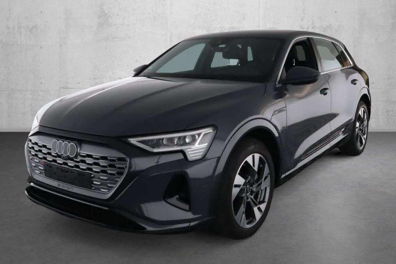 Fahrzeugabbildung Audi Q8 e-tron 55 quattro advanced |Matrix|Luft|LED