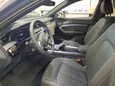 Fahrzeugabbildung Audi Q8 e-tron Sportback 55 quattro advanced |Luft