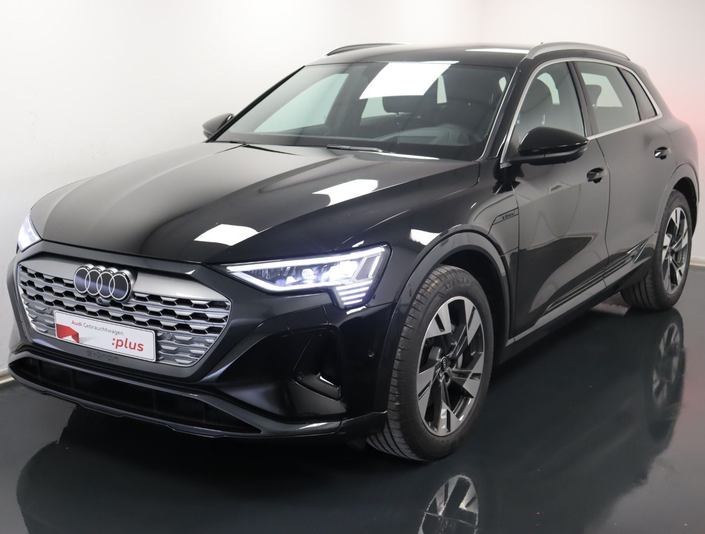 Fahrzeugabbildung Audi Q8 e-tron 55 quattro advanced |Matrix|Luft|ACC