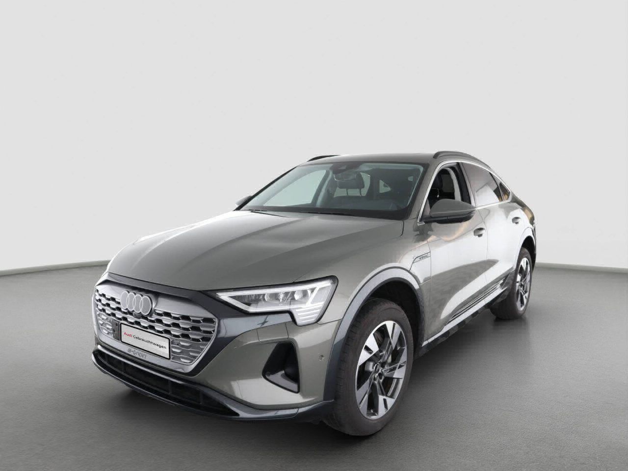 Fahrzeugabbildung Audi Q8 e-tron Sportback 55 quattro advanced |Luft