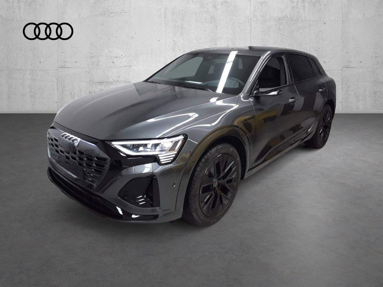 Fahrzeugabbildung Audi Q8 e-tron 55 quattro S-Line |Matrix|Luft|Pano
